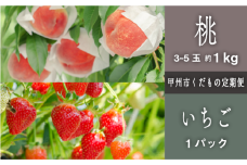 【定期便】甲州市プレミアムセレクションー限定フルーツ定期便 いちご大粒1パック 桃約1kg【2025年発送】（SHP）B18-472 【桃 もも 令和7年発送 山梨県産 甲州市 期間限定 フルーツ 果物】