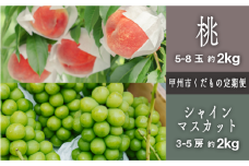 【定期便】甲州市プレミアムセレクション 厳選フルーツ定期便 桃約2kg シャインマスカット約2kg【2025年発送】（SHP）C8-474 【桃 もも モモ シャインマスカット 葡萄 ぶどう ブドウ 令和7年発送 期間限定 山梨県産 甲州市 フルーツ 果物】