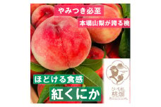 【なめらかホロホロ食感紅くにかブランド】ほどける食感がやみつき人気品種 約1kg【2025年発送】（PMK）B17-104 【桃 もも モモ 令和7年発送 期間限定 山梨県産 甲州市 フルーツ 果物】