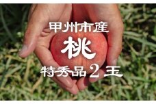 【桃 特秀品 2玉】農家厳選！「旬の桃と贅沢」を食卓へお届け！【2025年発送】（PJ）A08-166 【特秀品 桃 もも モモ 令和7年発送 期間限定 山梨県産 甲州市 フルーツ 果物】