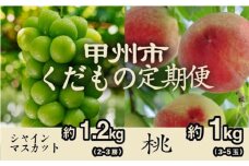 【甲州市くだもの定期便2選】 桃約1kg・シャインマスカット約1.2kg【2025年発送】（PJ）B18-170 【桃 もも モモ シャインマスカット 葡萄 ぶどう ブドウ 令和7年発送 期間限定 山梨県産 甲州市 フルーツ 果物】