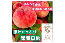 【果汁たっぷり浅間白桃ブランド】当園ダントツ人気No.1の品種 約1kg【2025年発送】（PMK）B17-108 【桃 もも モモ 令和7年発送 期間限定 山梨県産 甲州市 フルーツ 果物】