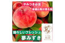 【夢のように瑞々しい夢みずきブランド】山梨限定ココだけしか味わえない人気品種 約1kg【2025年発送】（PMK）B17-110 【桃 もも モモ 令和7年発送 期間限定 山梨県産 甲州市 フルーツ 果物】