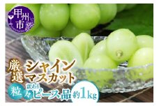 甲州市産 厳選 訳あり 粒々シャインマスカット 約1.0kg【2025年発送】（APX）A09-196 【シャインマスカット 葡萄 ぶどう ブドウ 令和7年発送 期間限定 山梨県産 甲州市 フルーツ 果物】