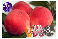 厳選！山梨県甲州市産 桃 約3kg【2025年発送】（THR）B14-800 【桃 もも モモ 令和7年発送 期間限定 山梨県産 甲州市 フルーツ 果物】
