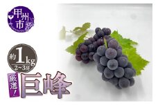 厳選！山梨県甲州市産 巨峰 約1kg（2～3房）【2025年発送】（THR）B-804 【巨峰 ぶどう 葡萄 ブドウ 令和7年発送 期間限定 山梨県産 甲州市 フルーツ 果物】