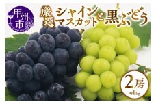 甲州市産 厳選 ぶどう 2種詰合せセット 2房 約1.0kg【2025年発送】（APX）B-199 【シャインマスカット 巨峰 ピオーネ ぶどう 葡萄 ブドウ 令和7年発送 期間限定 山梨県産 甲州市 フルーツ 果物】