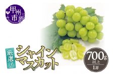 厳選！山梨県甲州市産 シャインマスカット 700g以上（1房）【2025年発送】（THR）A08-810 【シャインマスカット 葡萄 ぶどう ブドウ 令和7年発送 期間限定 山梨県産 甲州市 フルーツ 果物】