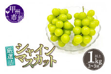 厳選！山梨県甲州市産 シャインマスカット 1kg以上（2～3房）【2025年発送】（THR）B-807 【シャインマスカット 葡萄 ぶどう ブドウ 令和7年発送 期間限定 山梨県産 甲州市 フルーツ 果物】