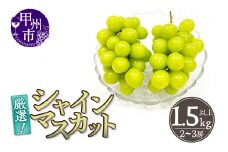 厳選！山梨県甲州市産 シャインマスカット 1.5kg以上（2～3房）【2025年発送】（THR）B15-810 【シャインマスカット 葡萄 ぶどう ブドウ 令和7年発送 期間限定 山梨県産 甲州市 フルーツ 果物】