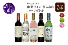 山梨のワイン飲み切りハーフボトル5本セット（CKH）B18-770 【ワイン 赤ワイン 白ワイン ロゼワイン 甲州市 山梨県】