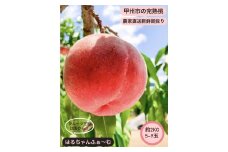 丹精込めて育てた甲州市の桃 約2kg（5～9玉）【2025年発送】（HCF）A08-845 【桃 もも モモ 令和7年発送 期間限定 山梨県産 甲州市 フルーツ 果物】