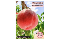 丹精込めて育てた甲州市の桃 約3kg（9～12玉）【2025年発送】（HCF）B13-845 【桃 もも モモ 令和7年発送 期間限定 山梨県産 甲州市 フルーツ 果物】