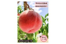 丹精込めて育てた甲州市の桃 約3kg（9～12玉）【2025年発送】（HCF）B13-845 【桃 もも モモ 令和7年発送 期間限定 山梨県産 甲州市 フルーツ 果物】