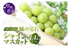 頬張る幸福感 ～緑の宝石・シャインマスカット～ 1.4kg以上（2～3房）【2025年発送】（RG）B14-840 【シャインマスカット 葡萄 ぶどう ブドウ 令和7年発送 期間限定 山梨県産 甲州市 フルーツ 果物】