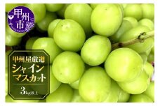 甲州屋厳選 シャインマスカット 3kg以上 4～6房【2025年発送】C7-116【シャインマスカット 葡萄 ぶどう ブドウ 令和7年発送 期間限定 山梨県産 甲州市 フルーツ 果物】
