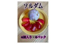 酸味と甘味の調和すもも【ソルダム】4個入り×6パック生産者直送【2025年発送】（ISI）B12-159【ソルダム すもも スモモ 令和7年発送 期間限定 山梨県産 甲州市 フルーツ 果物】