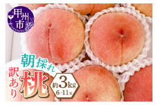 味自慢桃【訳あり品】を感謝込めて朝どれでお贈りします！約3kg（6～11玉）【2025年発送】（LMS）B-418 【桃 もも モモ 令和7年発送 期間限定 山梨県産 甲州市 フルーツ 果物】