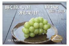 甲州市産シャインマスカット 約4kg 数量限定100セット【2025年配送】（ASF）H-145 【シャインマスカット 葡萄 ぶどう ブドウ 令和7年発送 期間限定 山梨県産 甲州市 フルーツ 果物】