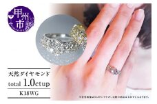 指輪 天然 ダイヤモンド 1.0ct パヴェ SIクラス Renne ルネ【K18 WG】 r-174（KRP）P61-1411【リング 指輪 ジュエリー ホワイトゴールド ギフト 】