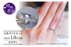 指輪 天然 ダイヤモンド 1.0ct フルエタニティ SIクラス Nadine ナディーヌ【K18 WG】r-170（KRP）R33-1410