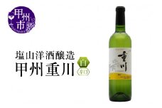 塩山洋酒醸造の白ワイン『甲州重川』（RC）B-641