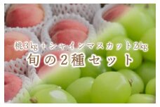 【定期便】甲州市自慢の“桃 約3kg”と“シャインマスカット 約2kg”の2種セット【2025年発送】（BNC）F5-702 【桃 もも シャインマスカット 葡萄 ぶどう 令和7年発送 期間限定 山梨県産 甲州市 フルーツ 果物】