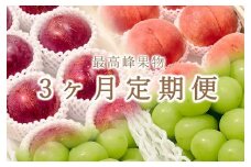 【定期便】甲州市自慢の大人気3種セット “大玉桃”“大玉貴陽”“大粒シャインマスカット” 3ヶ月定期便 自然農法【2025年発送】（BNC）I8-101 【貴陽 桃 すもも モモ シャインマスカット 葡萄 ぶどう 令和7年発送 期間限定 山梨県産 甲州市 フルーツ 果物】