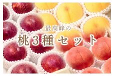【定期便】甲州市自慢の大玉桃3種セット “大玉桃”“大玉貴陽”“大玉黄金桃” 3種の桃セット 自然農法【2025年発送】（BNC）I3-101【桃 もも モモ 令和7年発送 期間限定 数量限定 大玉 山梨県産 甲州市 フルーツ 果物】