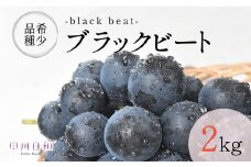 ブラックビート 約2.0kg【2025年発送】（KSB）B13-130【ブラックビート ぶどう 葡萄 ブドウ 令和7年発送 期間限定 山梨県産 甲州市 フルーツ 果物】