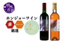 ホンジョーワイン厳選 赤・オレンジ飲み比べセット（MG）C3-650 【ワイン シャトー・ホンジョー オレンジワイン 赤ワイン 甲州市 山梨県】