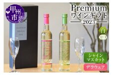 Premiumワインギフト（白）500ml×2本『シャインマスカットワイン＋デラウェアワイン』～2023～（HO）B16-776【ワイン 白ワイン 甲州市 山梨県】