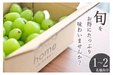 甲州市産 たっぷり粒詰めシャインマスカット 約500g 自然農法 【2025年発送】（BNC）B-489【マスカット シャインマスカット 葡萄 ぶどう ブドウ 令和7年発送 期間限定 山梨県産 甲州市 フルーツ 果物】