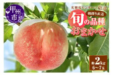 【朝採り農家直送】光糖度センサー厳選 糖度13度以上の高糖度桃 約2kg（6～7玉）【2025年発送】（AF）B-450【桃 もも モモ 令和7年発送 期間限定 山梨県産 甲州市 フルーツ 果物】