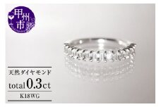 指輪 天然 ダイヤモンド 0.3ct ハーフ エタニティ SIクラス C_cileセシル【K18WG】r-164（KRP）M94-1413【リング 指輪 ジュエリー ホワイトゴールド ギフト】
