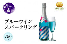 ブルーワイン スパークリング 750ml（MTS）B-635