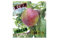 山梨限定すもも品種幸せジューシーサマーエンジェル9個入り生産者直送【2025年発送】（ISI）A09-801 【サマーエンジェル すもも スモモ 令和7年発送 期間限定 山梨県産 甲州市 フルーツ 果物】