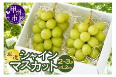Inakakara厳選 シャインマスカット2～3房（約1.2kg）【2025年発送】（ACP）B15-890 【シャインマスカット 葡萄 ぶどう ブドウ 令和7年発送 期間限定 山梨県産 甲州市 フルーツ 果物】