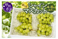 Inakakara厳選 シャインマスカット4～5房（約2.4kg）【2025年発送】（ACP）C9-890 【シャインマスカット 葡萄 ぶどう ブドウ 令和7年発送 期間限定 山梨県産 甲州市 フルーツ 果物】