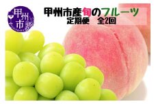 【定期便】甲州市産厳選旬のフルーツ定期便全2回（桃・シャインマスカット）【2025年発送】（MG）B19-480