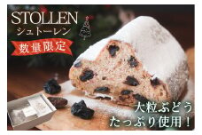 山梨県産レーズンをふんだんに使った『ぶどうのシュトーレン』贅沢なドイツの伝統焼菓子 クリスマス限定（VYD）B-933