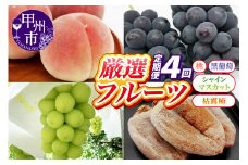 【定期便】甲州の名産品が詰まった厳選フルーツ4回定期便 桃・黒葡萄・シャインマスカット・枯露柿【2025年発送】（IS）E-465 【桃 もも モモ ぶどう 葡萄 ブドウ シャインマスカット 令和7年発送 期間限定 山梨県産 甲州市 フルーツ 果物】