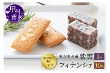 皇室献上菓子舗 三省堂 特製 贅沢蒸羊羹とフィナンシェ10個セット（VYD）B15-930
