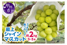 とりあえず、食べろし！！ 最上シャインマスカット 約2kg 3～5房【2025年発送】（AGV）B17-1001【シャインマスカット 葡萄 ぶどう ブドウ 令和7年発送 期間限定 山梨県産 甲州市 フルーツ 果物】