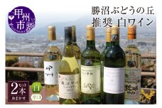勝沼ぶどうの丘推奨 白ワイン（辛口）2本セット（KBO）B16-602【ワイン 白ワイン 甲州市 山梨県】