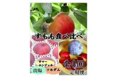 【定期便】すもも好き必見！！すもも3種定期便3回 1回目 サマーエンジェル 2回目 ソルダム 3回目 貴陽【2025年発送】（ISI）D4-158【すもも 桃 モモ 令和7年発送 期間限定 山梨県産 甲州市 フルーツ 果物】
