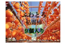 て！なんで～こりゃぁ新食感とろっふわ枯露柿（9個入り）生産者直送【2025年発送】（ISI）B-809