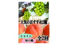 【定期便】ぶどうも桃も両方食べたい！ 1回目 桃 2回目 シャインマスカット【2025年発送】（ISI）C9-800 【桃 もも モモ シャインマスカット 葡萄 ぶどう ブドウ 令和7年発送 期間限定 山梨県産 甲州市 フルーツ 果物】