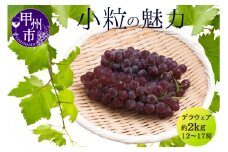 甲州市産デラウェア12～17房 約2kg【2025年発送】（MG）B11-801 【デラウェア ぶどう 葡萄 ブドウ 令和7年発送 期間限定 山梨県産 甲州市 フルーツ 果物】
