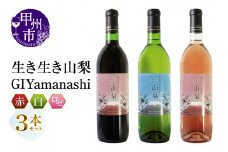 生き生き山梨[GIYamanashi]3本セット（MG）B17-651